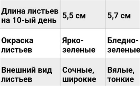 Влияние груши на развитие и процветание рябины