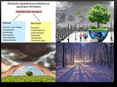 Влияние запаха канализации на климат