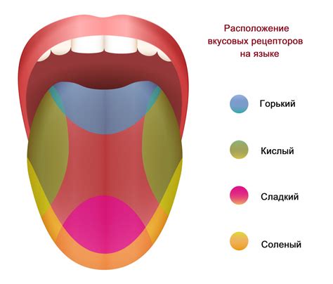 Влияние запаха на вкус сала