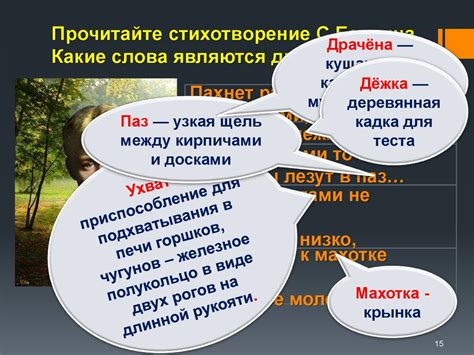 Возможные диалектные варианты и влияние