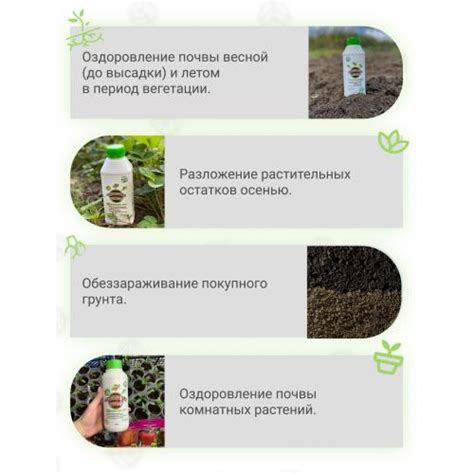 Возможные преимущества совмещения активатора роста растений и питательных добавок