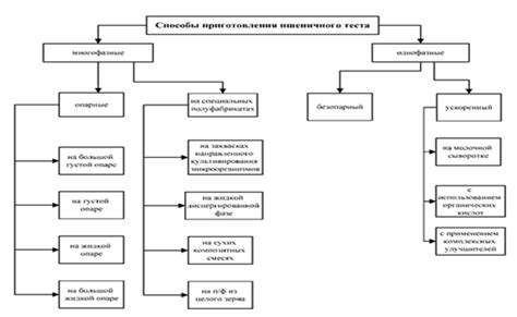 Инструкция для приготовления пшеничного супа с регентом от медведицы и овощами