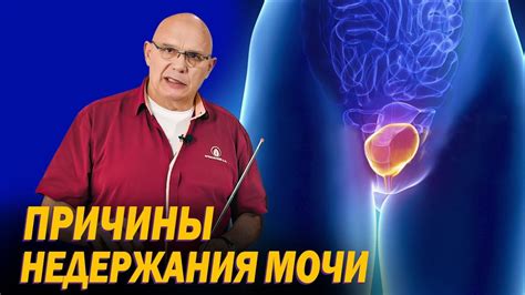 Мифы о замене мочи