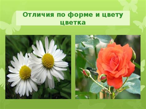 Отличия по цвету