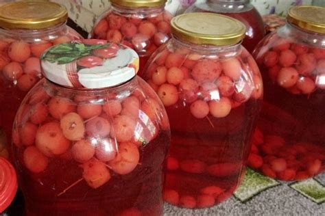 Подводя итог: роликовое изделие из брусники и жидкости с лишними частями – взаимодействие и взгляд