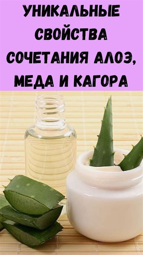 Преимущества и недостатки хранения сочетания алоэ и меда в холодильнике