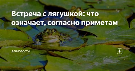Примета означает встреча