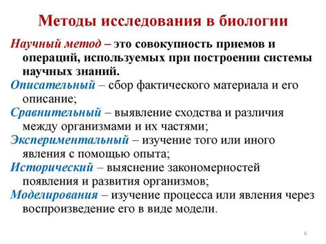 Роль массы тела в научных исследованиях о гравитации