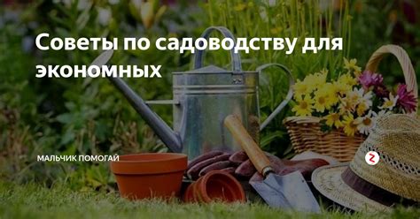 Советы по садоводству с детьми