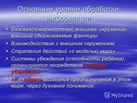 Взаимодействие с внешним окружением