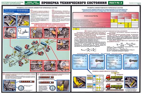 Воздействие перьев на внешний вид и состояние автомобиля