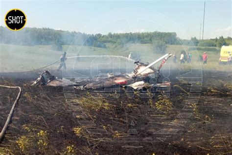 Возможные причины падения собаки с кровати