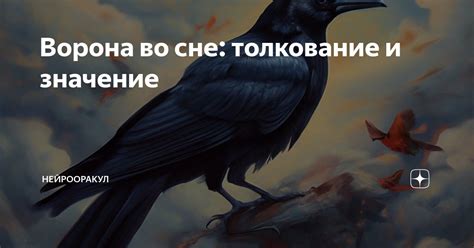Ворона во сне как предсказатель будущего