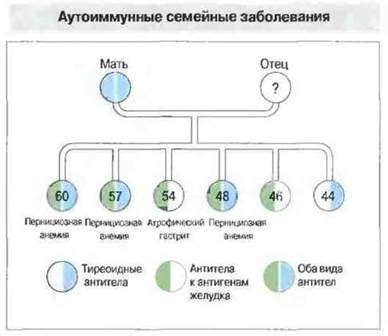 Генетические факторы и их влияние