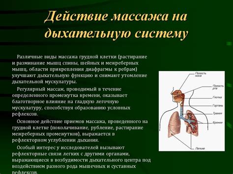 Действие на дыхательную систему