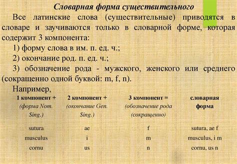 Значение несогласованного определения в латинском языке