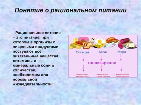 Значение сновидений о пакете с пищевыми продуктами