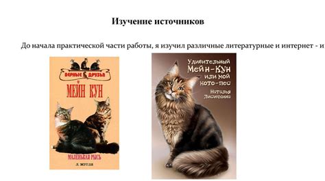 Изучение поведения и характера