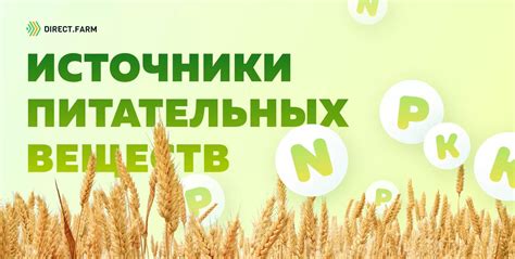 Источник питательных веществ