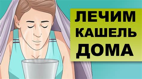 Как избавиться от привычки лизания в домашних условиях