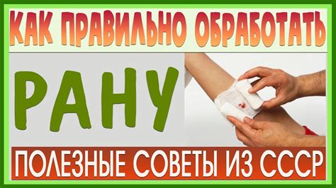 Как правильно обрабатывать раны после контакта с морской звездой