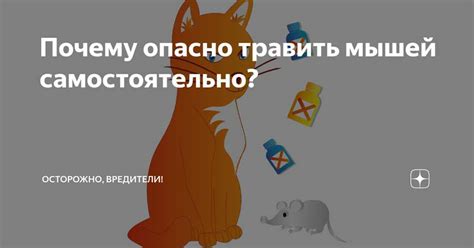 Как предотвратить попадание мышиного яда кролику
