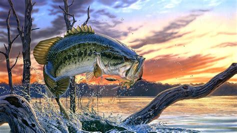 Как решить проблемы с инициализацией игры Fishing Planet