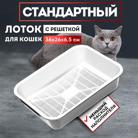 Кошачий лоток с калом: символика и возможные значения