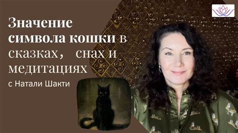 Кошка в сновидении: значение символа