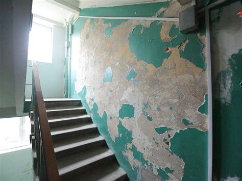 Красить стены в подъезде – значение сна