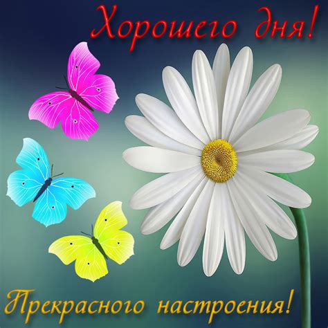 Лучшие варианты ответа на пожелание хорошего дня