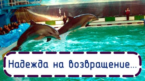 Надежда на ее возвращение