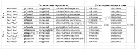 Несогласованное определение в латинском языке: понятие и значение