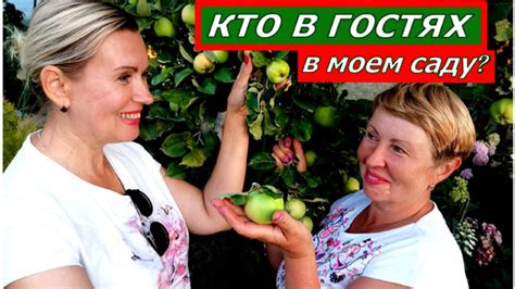 Обмен опытом и советами