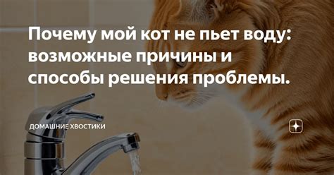 Отсутствие криптопровайдера: причины и способы решения