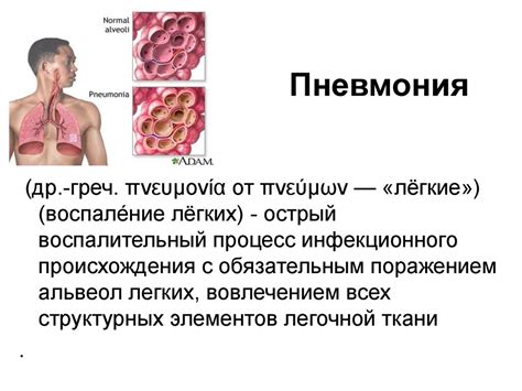 Патологии органов дыхания и чихание с кровью