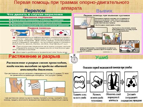 Первая помощь для собаки