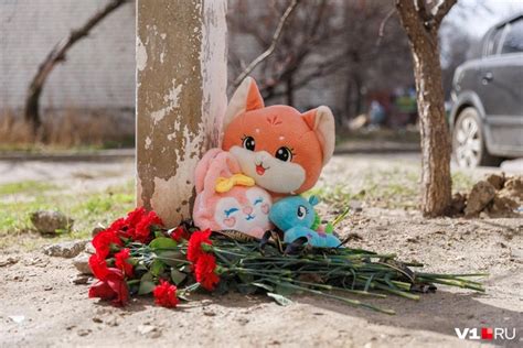 Последствия для организма при падении с 16-го этажа