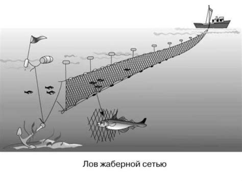 Правила нанесения бирок на сети рыболовные