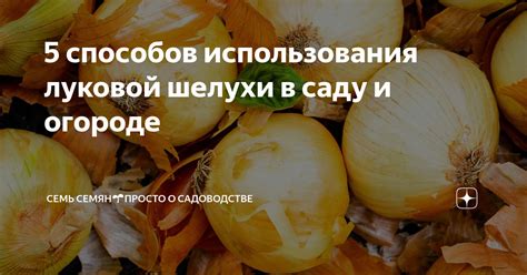 Причины избегать использования луковой шелухи