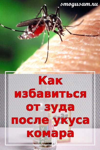 Причины сильного зуда после укусов пиявок