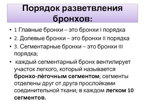 Раздел 4: Проходимость бронхов 1 3 порядка