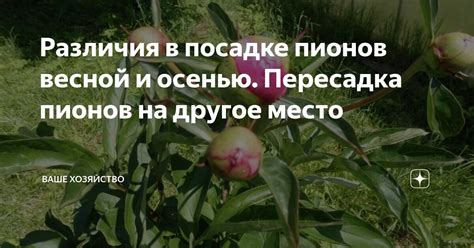 Различия в посадке