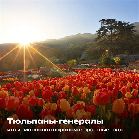 Разнообразие цветов и форм