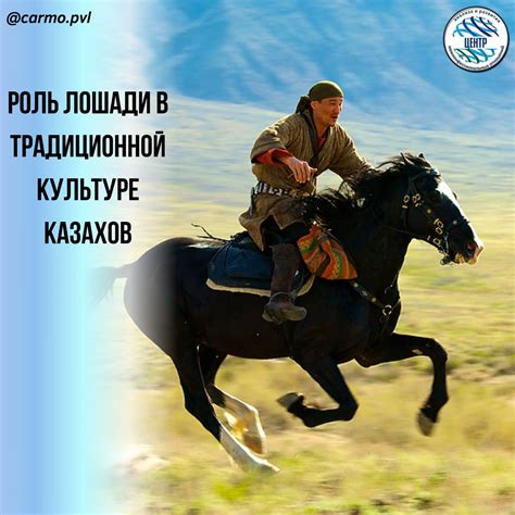 Роль головы лошади в кофейной культуре