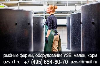Технологии разведения и выращивания лосося