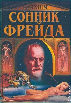 Толкование снов о носе и его значениях