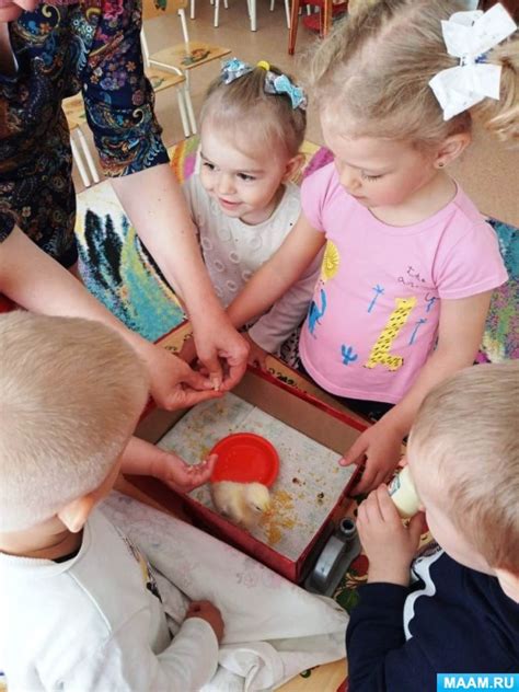 Уход за цыпленком