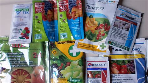  Какую овощную культуру обрабатывать абига пиком