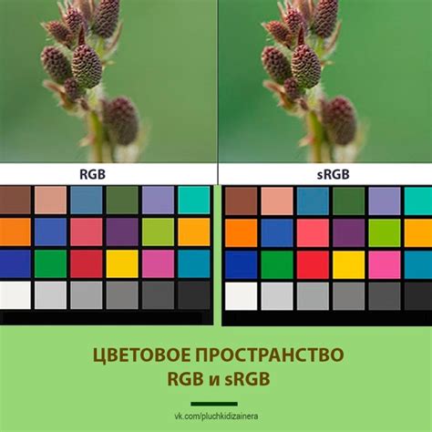 RGB: преимущества и недостатки использования сигнала
